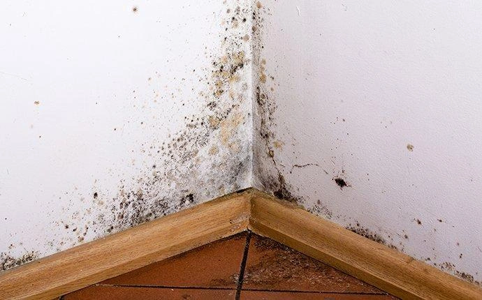 Home inspection by 613Pro